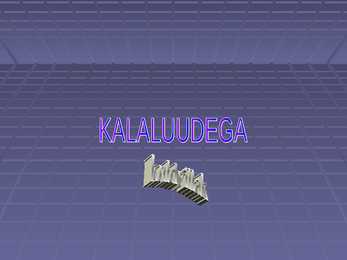 Kuldvillak #23