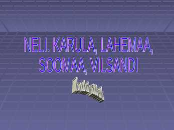Kuldvillak #33