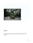 Ilves #12