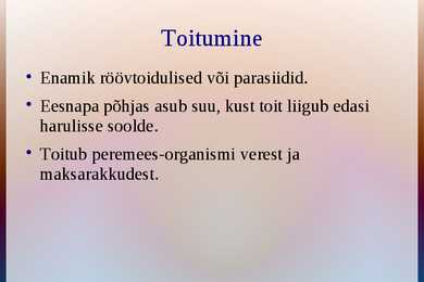 Imiussid #6