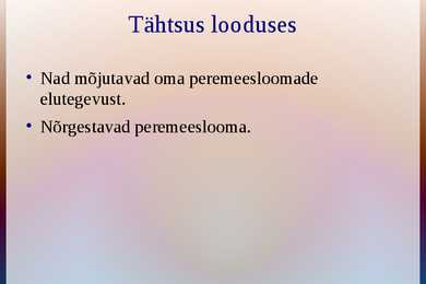 Imiussid #10
