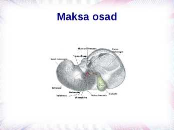 Maksa kümme ametit #12