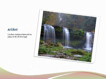 Mürkained looduses #14
