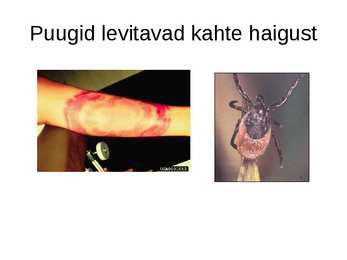 Bakteriaalsedhaigused #4