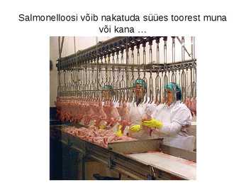 Bakteriaalsedhaigused #7