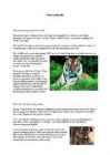 Rare animals