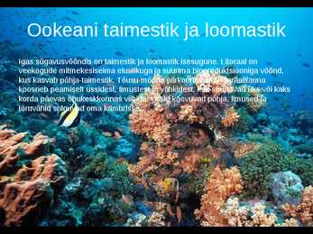 Ookeani elustik #7