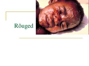 Rõuged