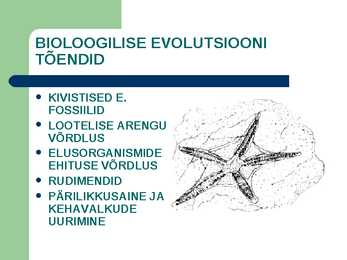 Taimede bioloogiline evolutsioon #4