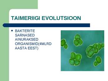 Taimede bioloogiline evolutsioon #5