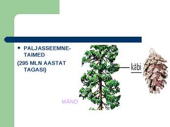 Taimede bioloogiline evolutsioon #9