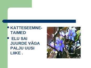 Taimede bioloogiline evolutsioon #10