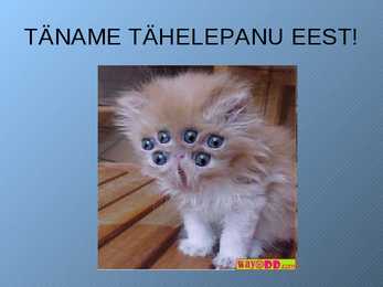 Põhjalik geeniteraapia Powerpoint #12