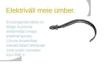 Elektriväli meie ümber ja sees #4