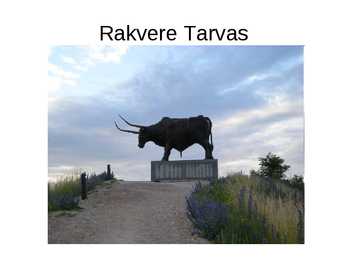 Tauno Kangro #7