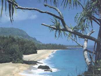 Jamaica #2