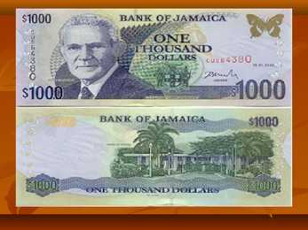 Jamaica #19