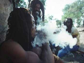 Jamaica #31