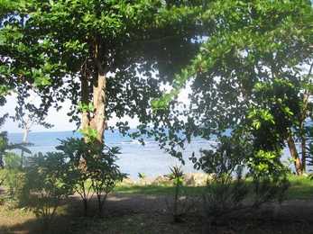 Jamaica #38