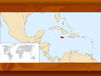 Jamaica #6