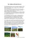 The California Floristic Province hotspot