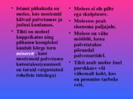Islami powerpoint #14