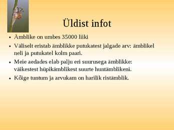 Esitlus-Ämblikud #2