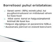 Borrelioos #4