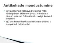Borrelioos #6