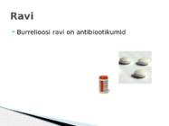 Borrelioos #7