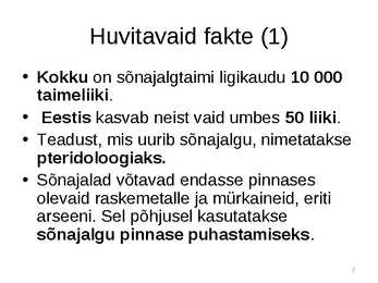 Sõnajalgtaimed #7