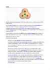 Ioonid