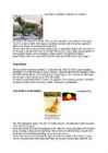 Australia topic #8