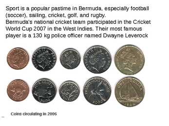 Bermuda #7