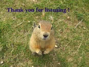 Arctic Ground Squirrel #12