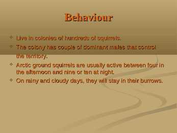 Arctic Ground Squirrel #9