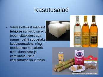 Powerpoint ettekanne Suhkruroog #8
