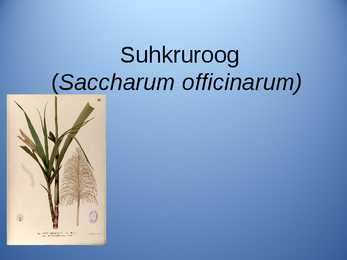 Powerpoint ettekanne Suhkruroog