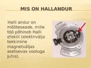 Halli andur #4