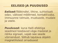 Halli andur #7