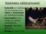 Kodukakk #2