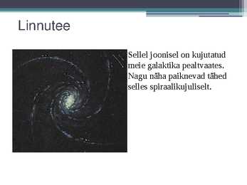 Linnutee #3
