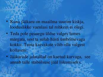 Jääkaru #3