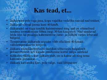 Jääkaru #8