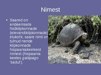 Galapagose saared #8