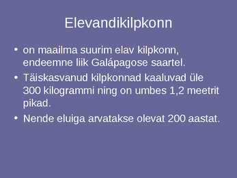 Galapagose saared #9