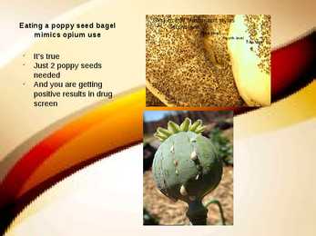 Myths #4