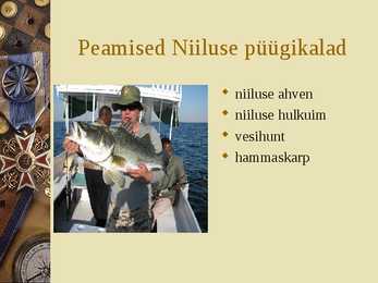 Niilus #7