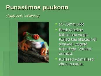 Amazonase vihmametsad-powerpoint #4