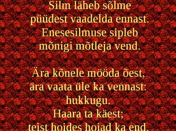 Luuleesitus #11